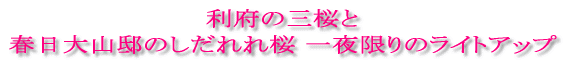 利府の三桜と春日大山邸のしだれ桜一夜限りのライトアップ企画