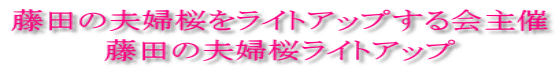 藤田の夫婦桜をライトアップする会主催 藤田の夫婦桜ライトアップ