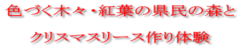色づく木々・紅葉の県民の森と クリスマスリース作り体験