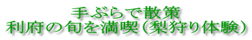 手ぶらで散策 利府の旬を満喫(梨狩り体験)