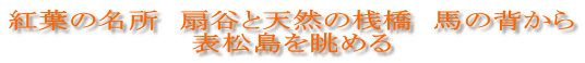 紅葉の名所 扇谷と天然の桟橋 馬の背から 表松島を眺める
