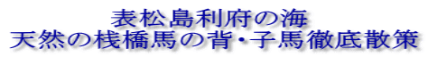 表松島利府の海 天然の桟橋馬の背・子馬徹底散策