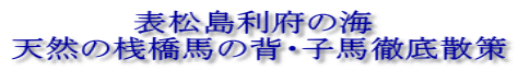 表松島利府の海  天然の桟橋馬の背・子馬徹底散策