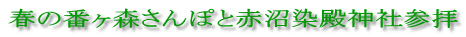 春の番ヶ森さんぽと赤沼染殿神社参拝