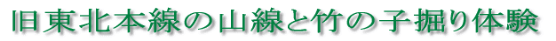 利府の歴史と春を楽しむ・竹の子堀体験