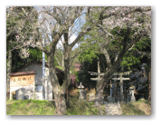 染殿神社
