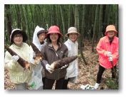 竹の子掘り体験