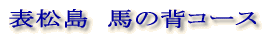 表松島 馬の背コース