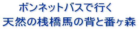 ボンネットバスで行く 天然の桟橋馬の背と番ヶ森